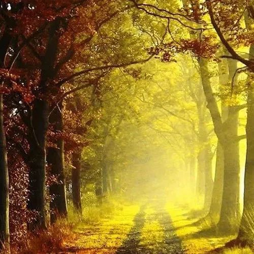 书讯最新消息,书讯大全免费阅读