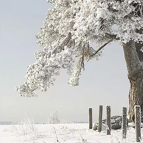 书讯最新消息,书讯大全免费阅读