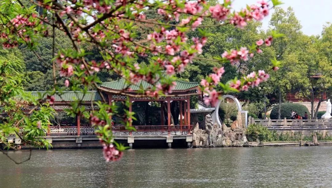 1月机票白菜价！从洛阳出发，最低只要170元！比坐车还便宜！