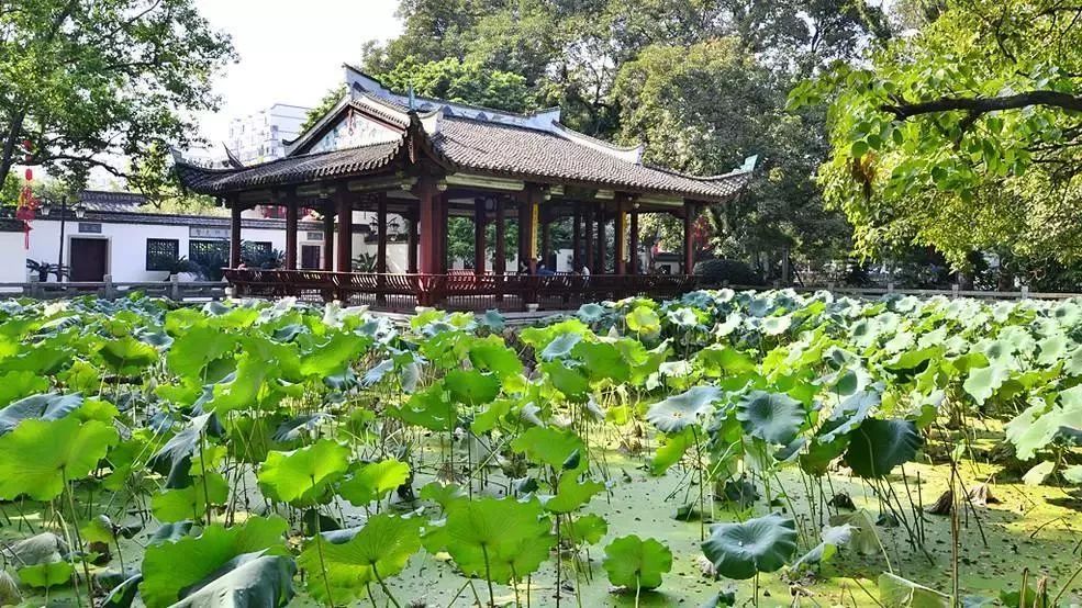 1月机票白菜价！从洛阳出发，最低只要170元！比坐车还便宜！