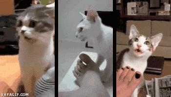 脚气脚臭脱皮克星,分享一个根治脚气脚臭方法