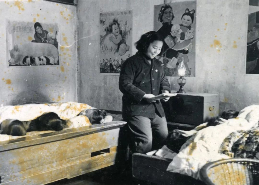 浦东新区变化史,浦东历史变迁图片