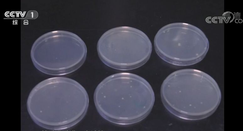 加湿器应该怎么清洗,加湿器每天清洗太麻烦了