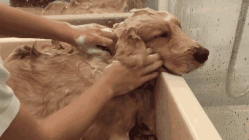 南北方洗澡的差异有多大,南北方洗澡差异吐槽