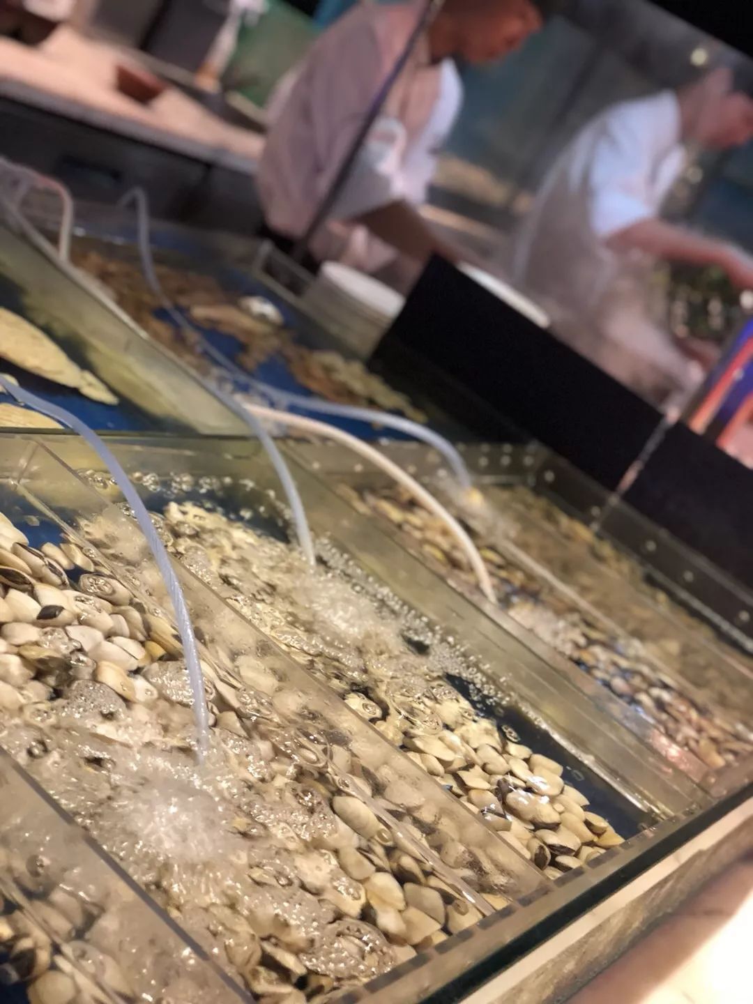 在广州的破旧小区里，一只爱马仕birkin只要5000元