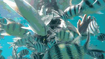 什么地方可以坐高铁去泰国,从中国坐高铁去泰国