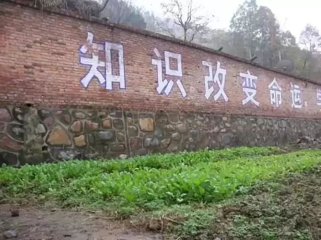 甘肃最穷的县城会宁吗,会宁县高考状元现状