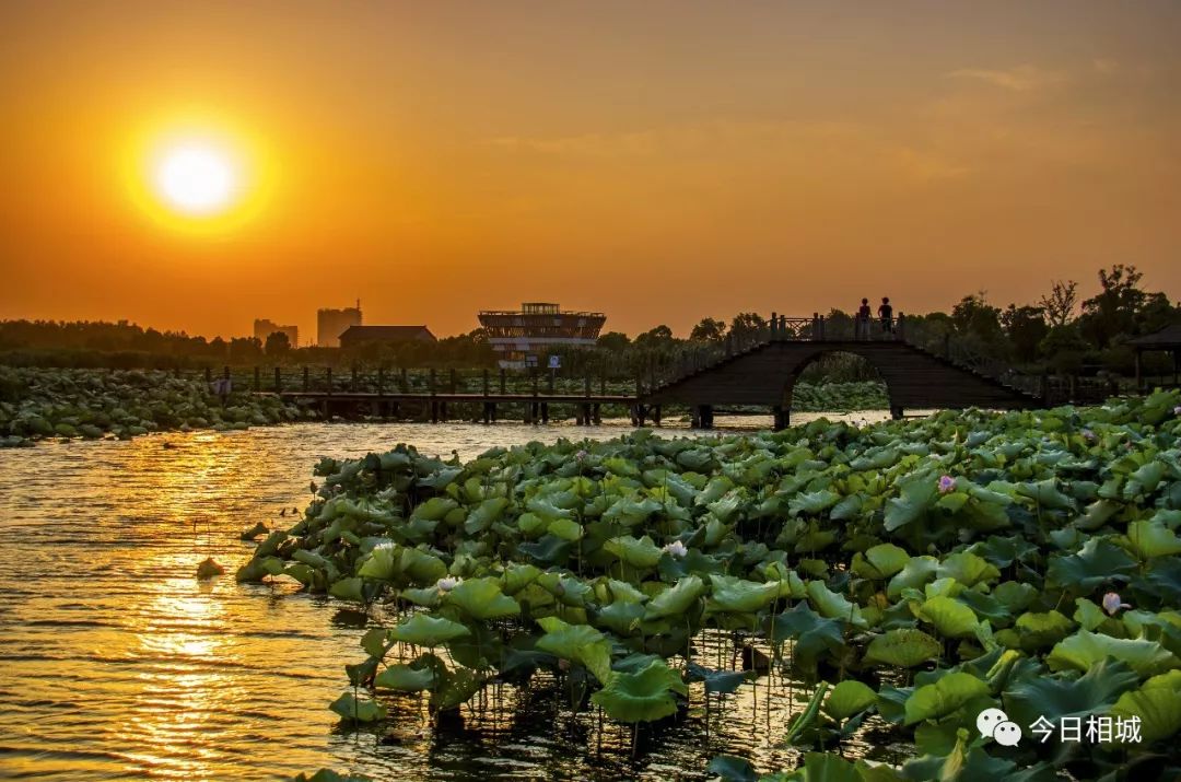 黄桥的桥,黄姚古镇的桥是什么桥