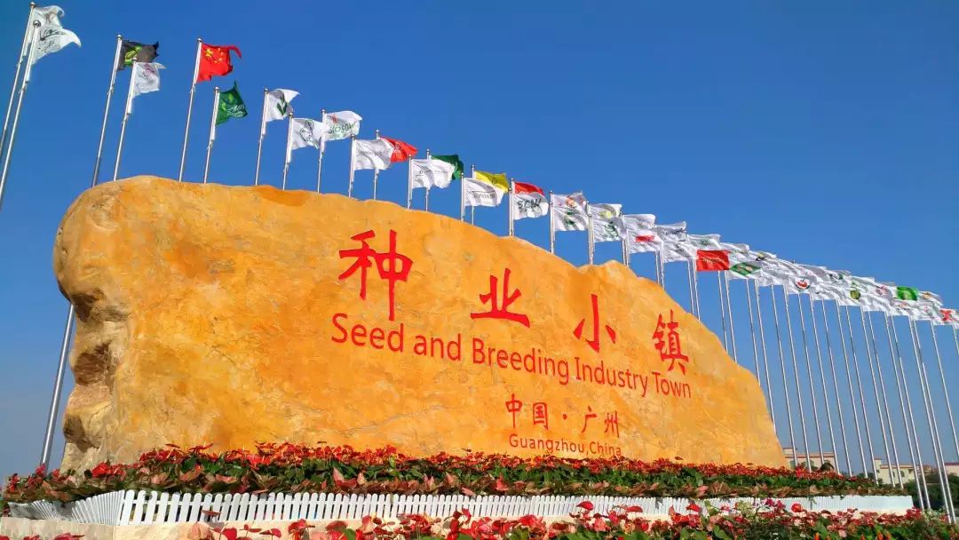 Letsgo!东涌农业生态旅游推广节最后一天~美食花海表演等着你