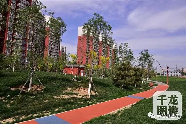 丰台“疏整促”带来8万余平城市绿色拼图！这些批发市场已经消失了……