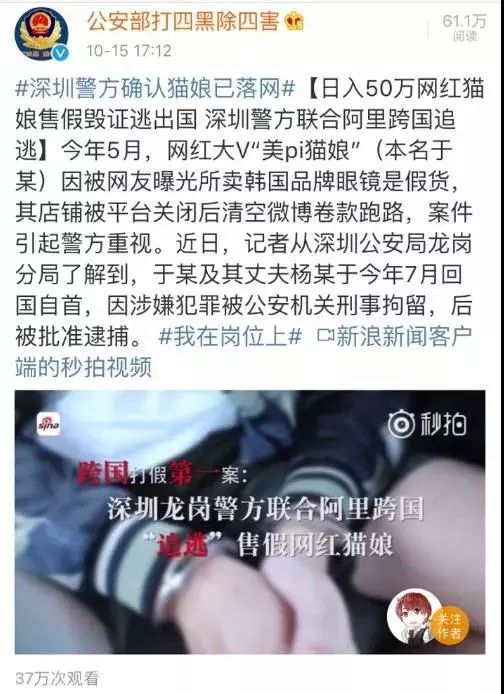 网红猫娘真假揭秘,网红猫娘罚款