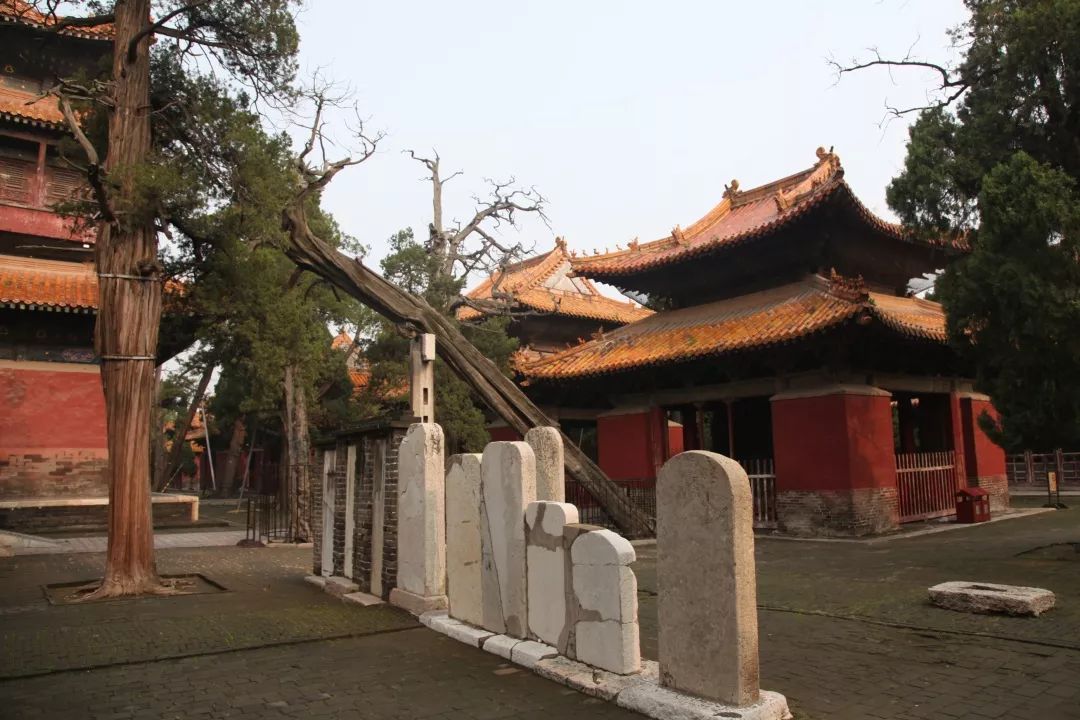 济宁曲阜全景,游曲阜孔庙有感