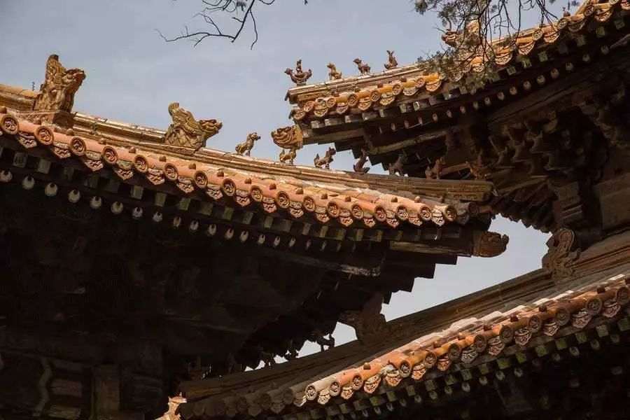 济宁曲阜全景,游曲阜孔庙有感