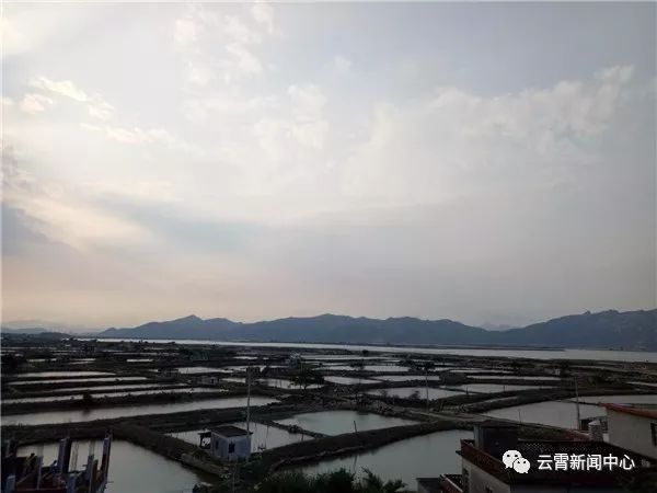 党建引领乡村振兴溪西,党建引领兴村富农