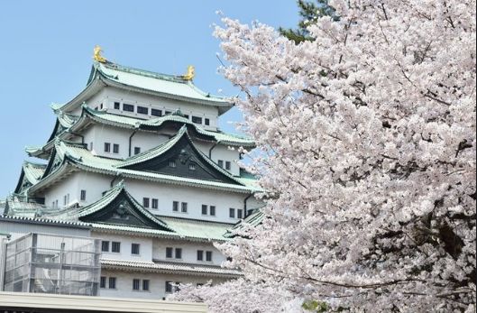 日本名古屋旅游攻略,名古屋观光指南