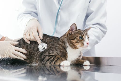 这5种癌症非常隐蔽,这5种疾病看着很奇怪