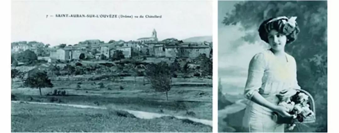 意大利原装进口橄榄油洗洁精,意大利特级初榨橄榄油能美容