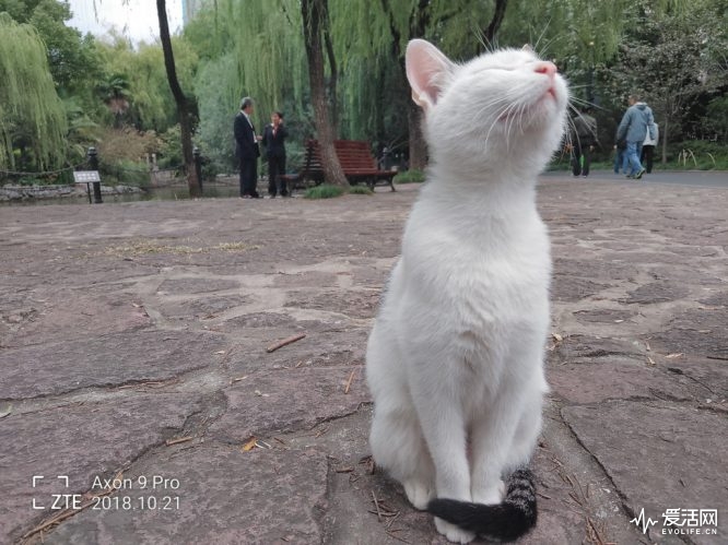 中兴天机axon9pro处理器,中兴天机axon9深度评测