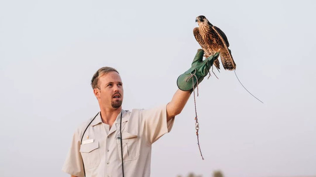 西厢房｜沙漠中的极致野奢，每间都有私家泳池，羚羊会还会来泳池喝水