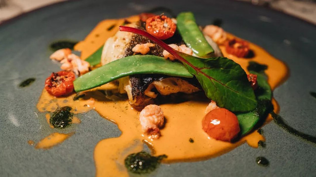 西厢房｜沙漠中的极致野奢，每间都有私家泳池，羚羊会还会来泳池喝水