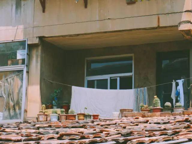 淄博那个承载我整个青春的地方,我好想穿上山铝一小的校服,再走一遍!