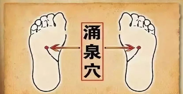 湿气不重但是很胖,泰国的祛湿足贴