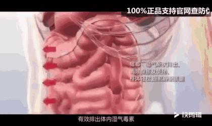 湿气不重但是很胖,泰国的祛湿足贴