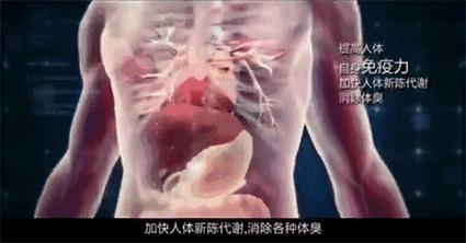 湿气不重但是很胖,泰国的祛湿足贴