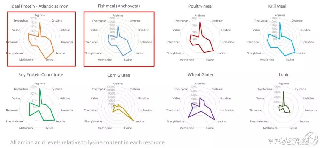 美威董事长:Omega-3或许没那么重要,但鱼粉依然不可完全替代