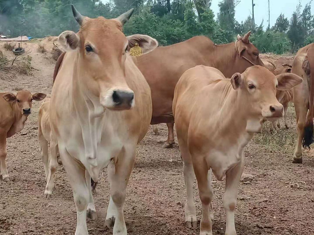 金门福利,金门二日游报团