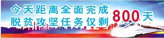 刚刚好！陇南的柿子红了，“柿”不可挡~