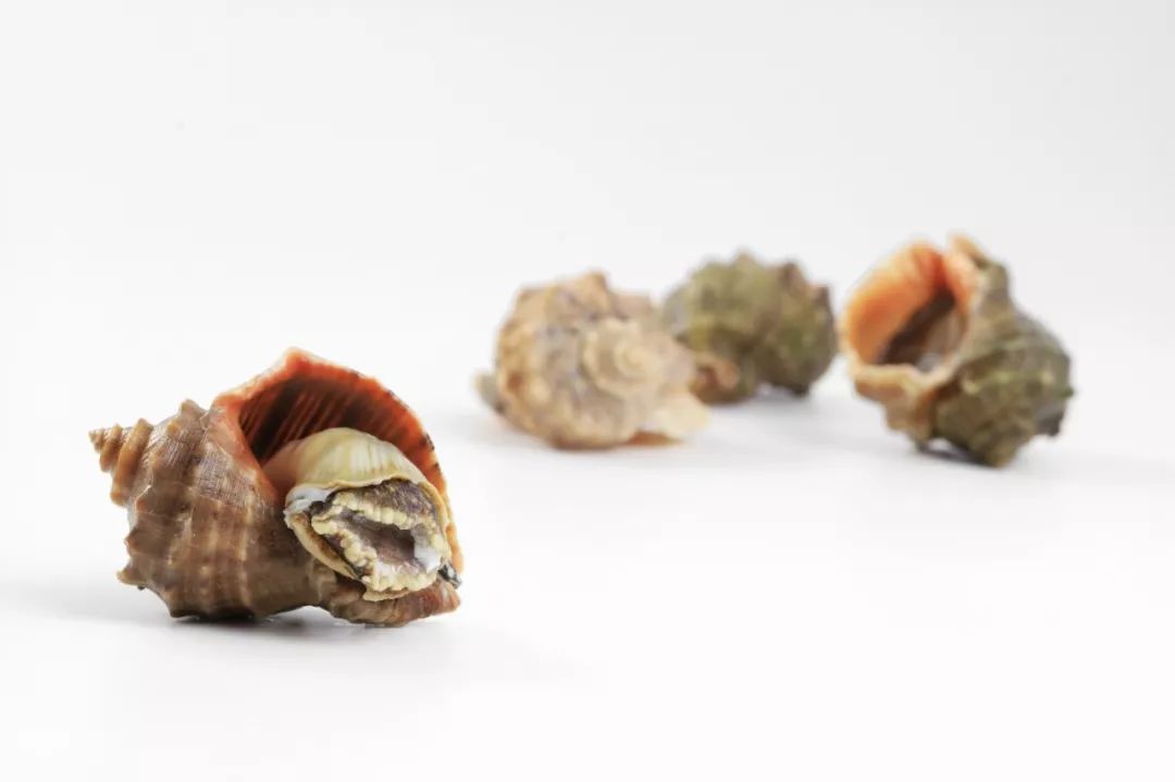 船歌水饺哪种口味最好吃,一年中只有一周能吃的美食