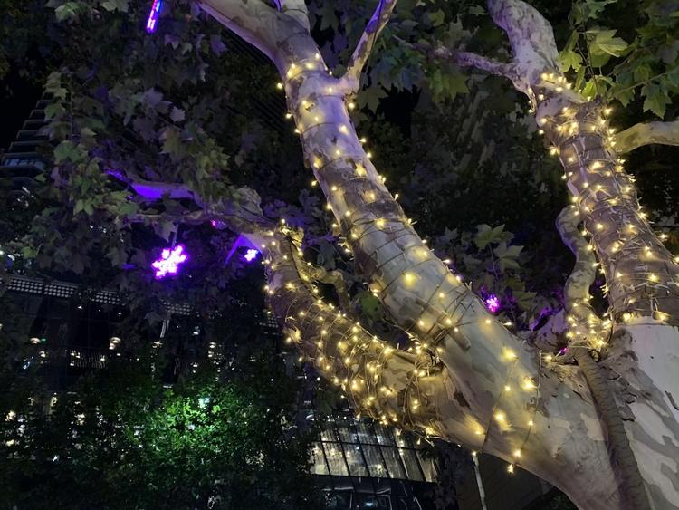 苹果xr一天的测评,iphonexr一天两充正常吗