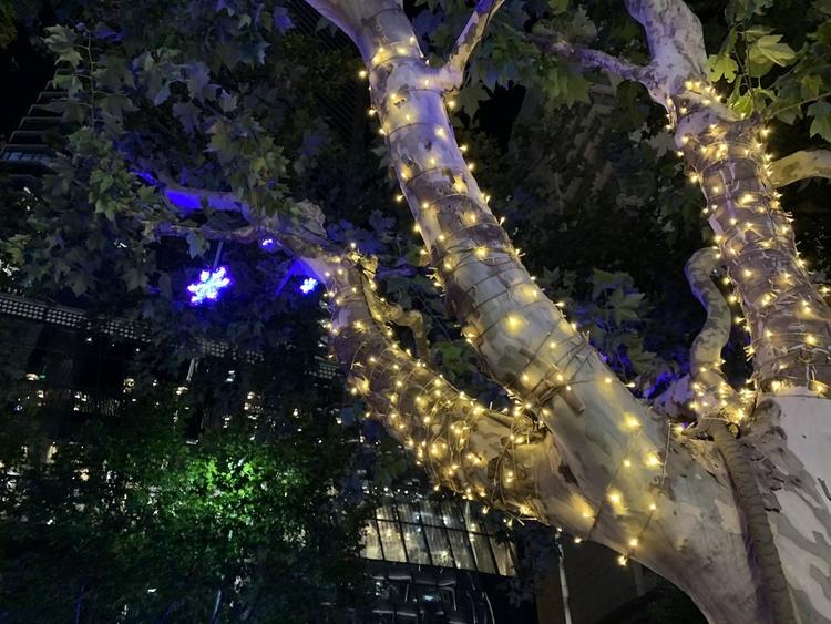 苹果xr一天的测评,iphonexr一天两充正常吗