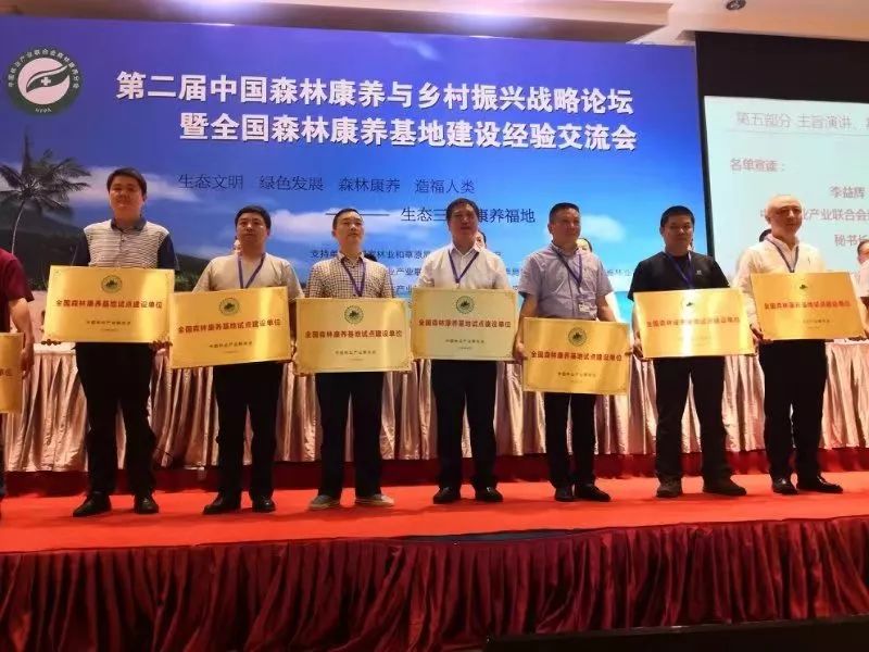 湖北省有哪些康养基地,新洲水杉森林公园