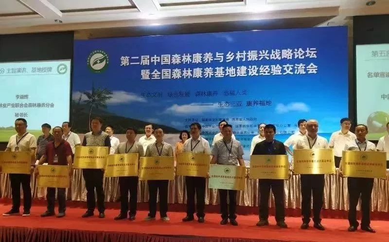 湖北省有哪些康养基地,新洲水杉森林公园