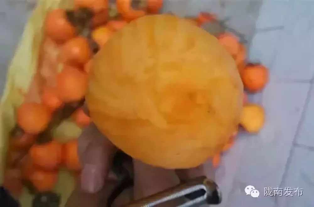 刚刚好！陇南的柿子红了，“柿”不可挡~