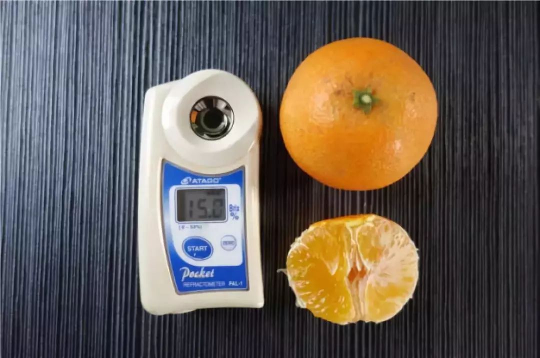 2021年什么品种的水果最有前景,近年最具前景的水果品种