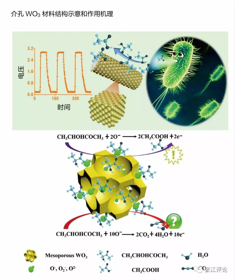 气体传感器工业互联网技术,气体探测传感器