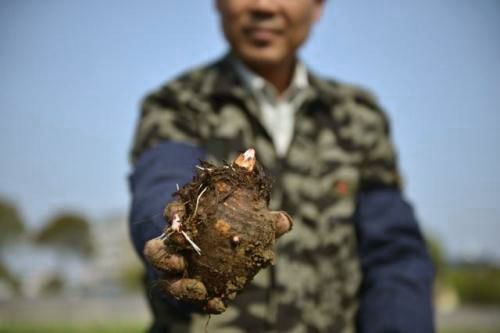 补冬不如补霜降养生必懂小常识,霜降应该怎么补