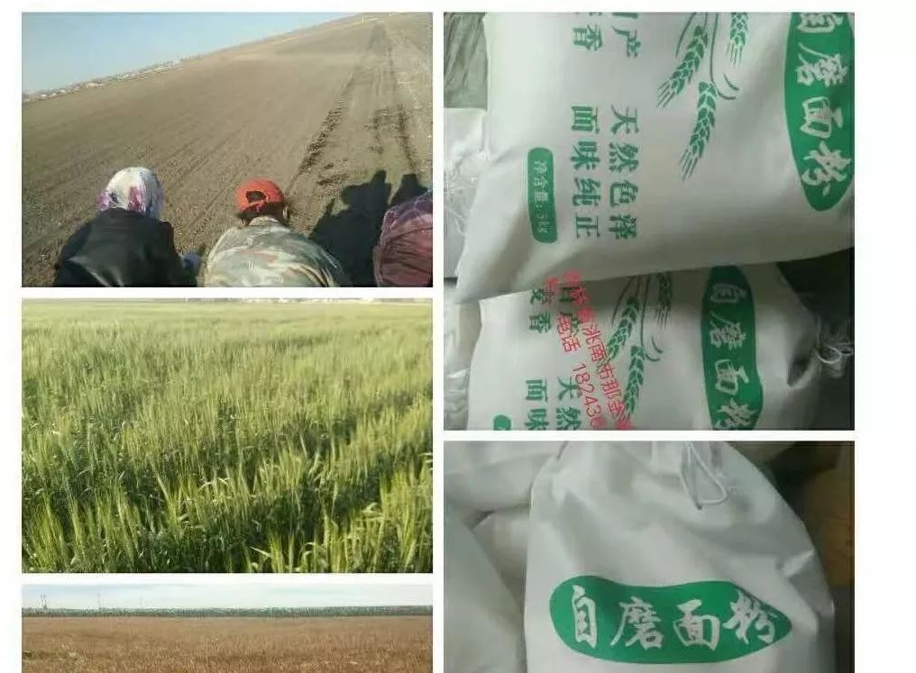 洮南最新头条,洮南最新发布