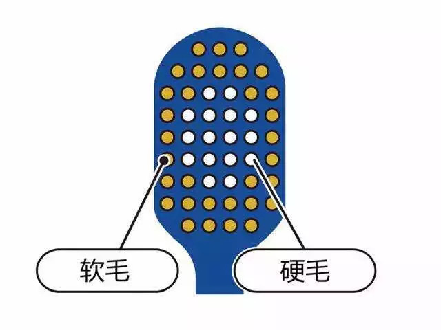 双十一我最先放入购物车的，就是这几款风靡日本的牙刷！