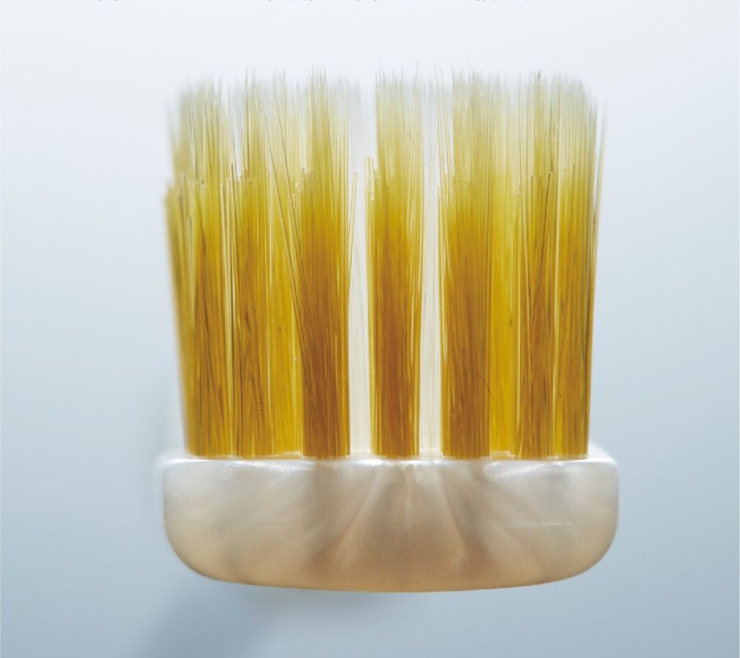 双十一我最先放入购物车的，就是这几款风靡日本的牙刷！