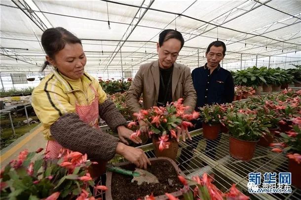 黔行40年贵阳篇,贵州贵阳黔行