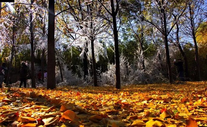 企业文化园,企业园区提升改造