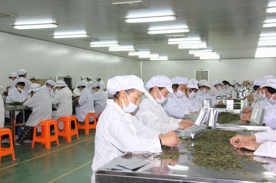 「社会眼」佩服！黄山这家公司用尽全力只做一件事！