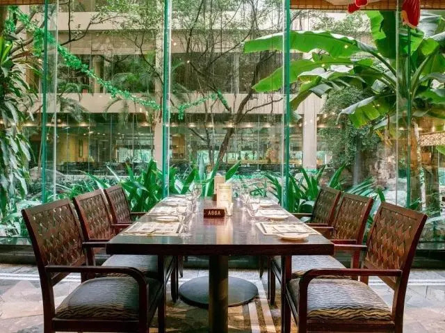 巨抵!399=2大1长隆小白虎餐厅自助午餐,边吃边睇白虎,周日不加收