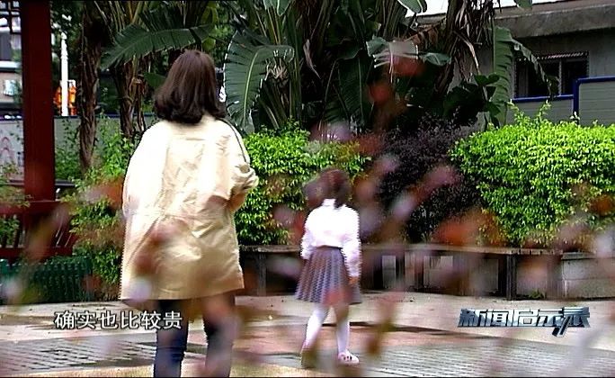 小型高端贵族幼儿园,小型高端幼儿园的标配