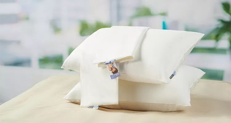 德国冰丝枕套,枕套德国蚕丝