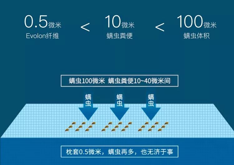 德国冰丝枕套,枕套德国蚕丝